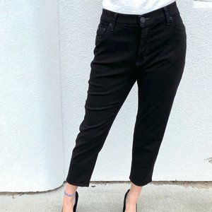 NEW Black Hudson Krista Ankle Button Jeans Size 27